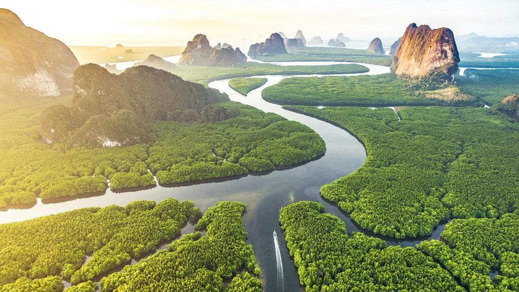 Breath-taking sunrise panorama of the limestone karsts and winding mangrove rivers in Phang-Nga Bay, a cinematic backdrop for family excursions