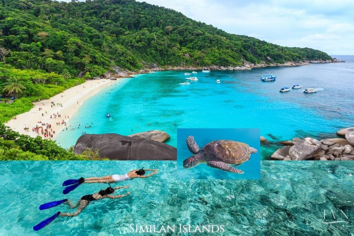 Top Family Activities In and Around Natai Beach | Twin Villas Natai Crystal clear turquoise waters and sea turtle snorkeling at the Similan Islands, a popular day trip for families staying at Twin Villas Natai near Phuket.