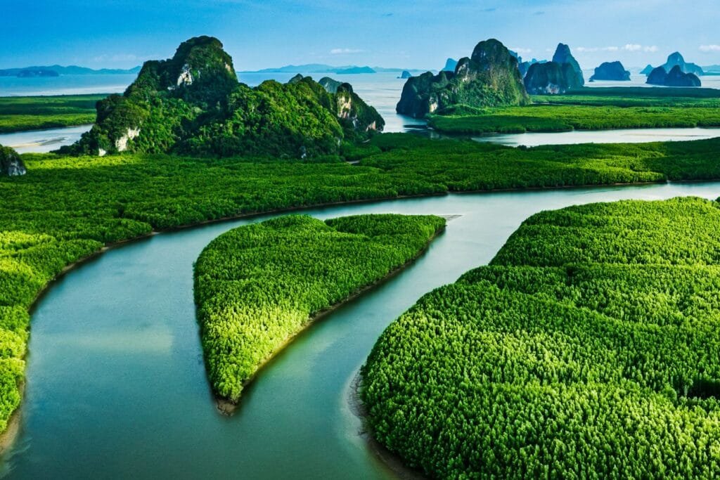 An aerial view of the winding mangrove forests and limestone karsts of Phang Nga Bay, a top-rated day trip destination just 30 minutes from Twin Villas Natai.