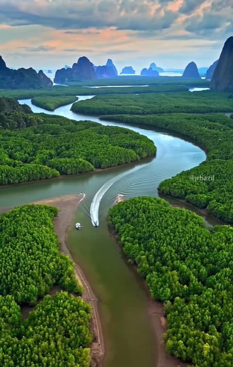 Natai Beach or Phuket? The Discerning Traveler’s Guide to Privacy and Access | Twin Villas Natai Aerial view of mangrove channels and limestone islands in Ao Phang Nga National Park, Phang Nga Bay, Thailand.